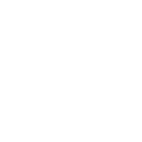 Apfel Karotten Icon
